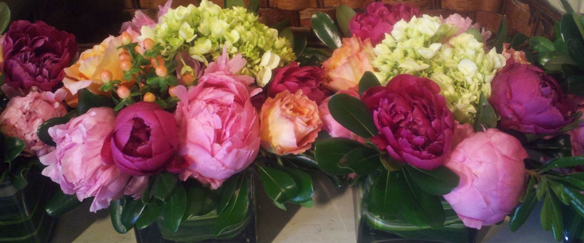 Home Annabel Green Flowers